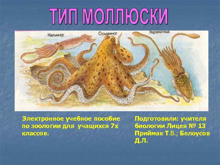 Электронное учебное пособие по зоологии для учащихся 7 х классов. Подготовили: учителя биологии Лицея