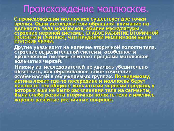 Происхождение моллюсков. О происхождении моллюсков существует две точки зрения. Одни исследователи обращают внимание на