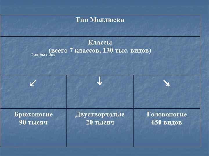 Тип Моллюски Классы (всего 7 классов, 130 тыс. видов) Систематика ↙ ↘ Брюхоногие 90