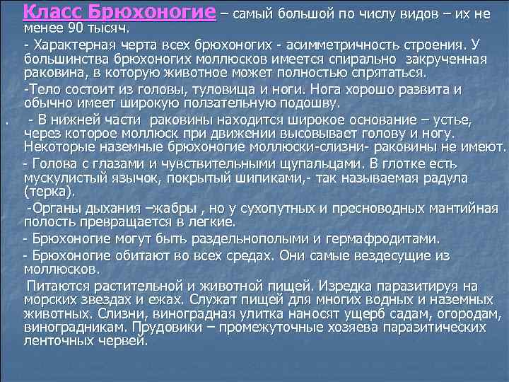 Класс Брюхоногие – самый большой по числу видов – их не менее 90 тысяч.