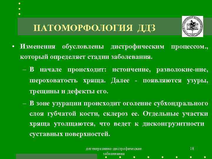 ПАТОМОРФОЛОГИЯ ДДЗ • Изменения обусловлены дистрофическим процессом. , который определяет стадии заболевания. – В