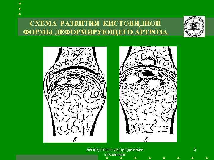 Схема цито травматология