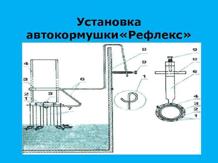 Установка автокормушки «Рефлекс» 