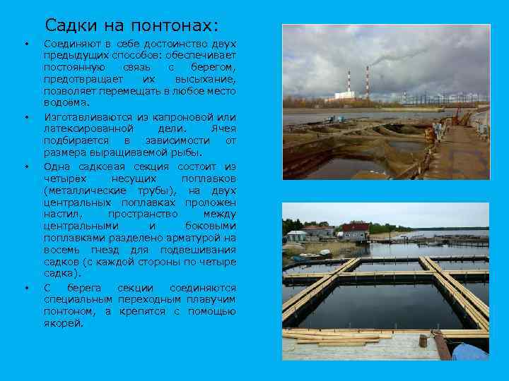 Садки на понтонах: • • Соединяют в себе достоинство двух предыдущих способов: обеспечивает постоянную