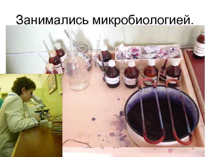 Занимались микробиологией. 