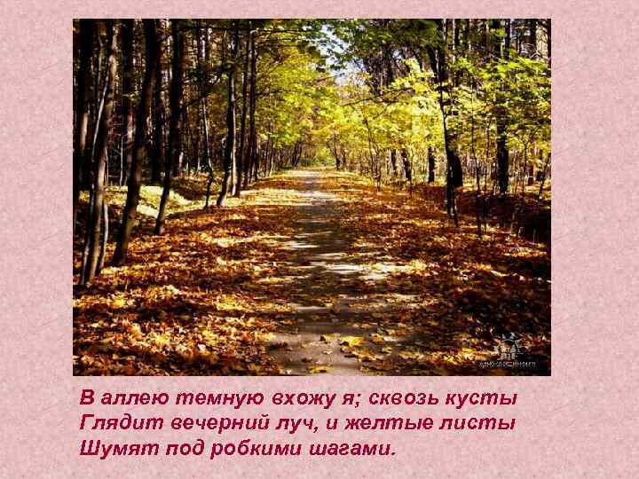 В аллею темную вхожу я; сквозь кусты Глядит вечерний луч, и желтые листы Шумят