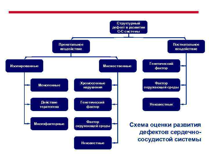 Структурный дефект в развитии С-С системы Пренатальное воздействие Постнатальное воздействие Множественные Изолированные Генетический фактор