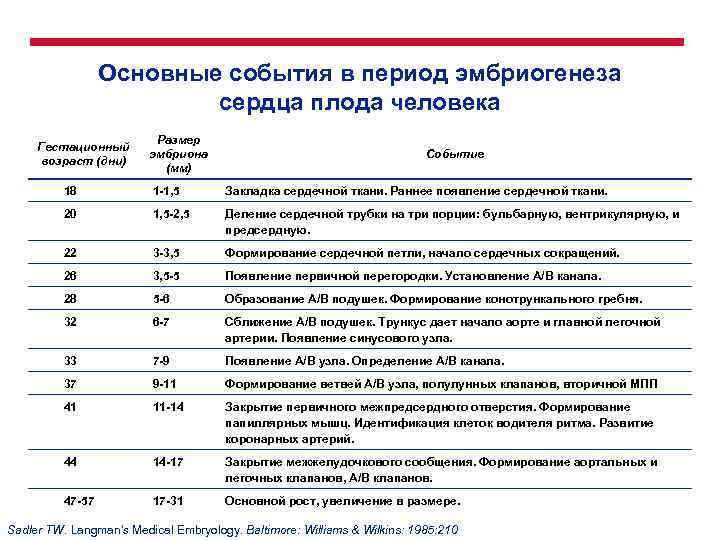 Основные события в период эмбриогенеза сердца плода человека Гестационный возраст (дни) Размер эмбриона (мм)