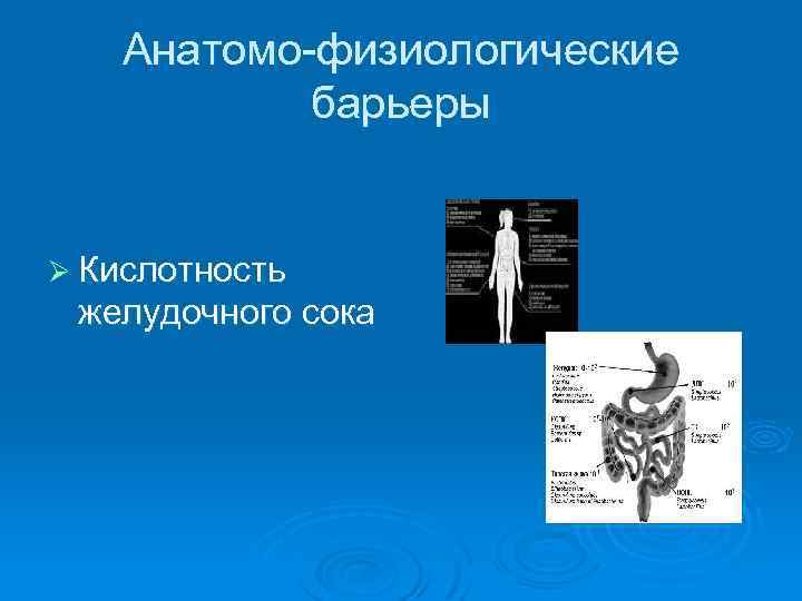 Анатомо-физиологические барьеры Ø Кислотность желудочного сока 