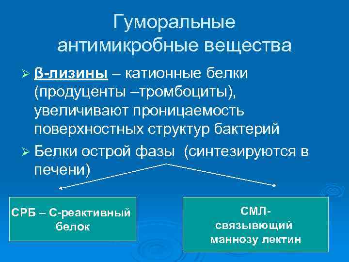 Гуморальные антимикробные вещества Ø β-лизины – катионные белки (продуценты –тромбоциты), увеличивают проницаемость поверхностных структур