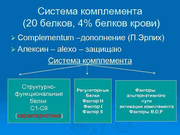 Система комплемента (20 белков, 4% белков крови) Ø Complementum –дополнение (П. Эрлих) Ø Алексин
