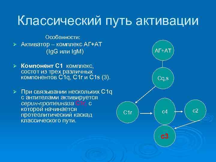 Классический путь активации Особенности: Активатор – комплекс АГ+АТ (Ig. G или Ig. M) Ø