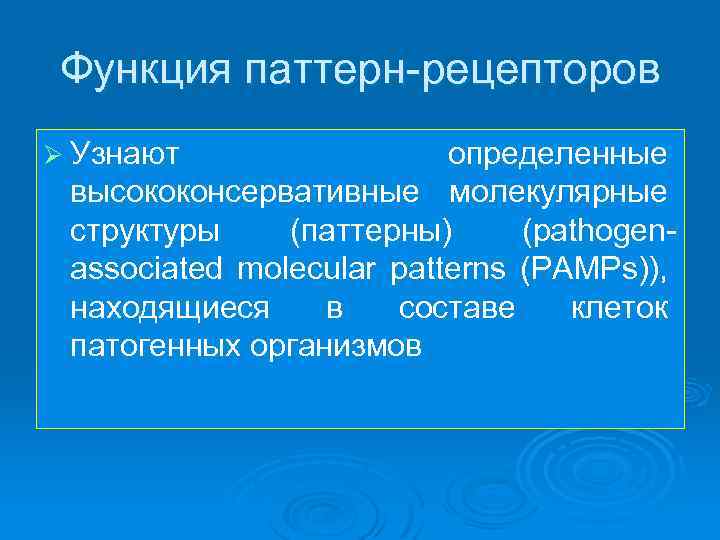 Функция паттерн-рецепторов Ø Узнают определенные высококонсервативные молекулярные структуры (паттерны) (pathogenassociated molecular patterns (PAMPs)), находящиеся
