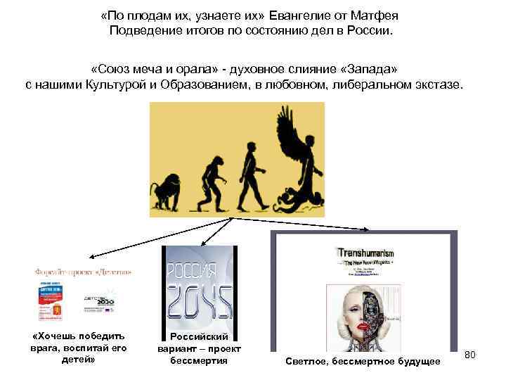  «По плодам их, узнаете их» Евангелие от Матфея Подведение итогов по состоянию дел