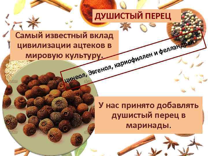 ДУШИСТЫЙ ПЕРЕЦ Самый известный вклад цивилизации ацтеков в мировую культуру. , Эвг л инео