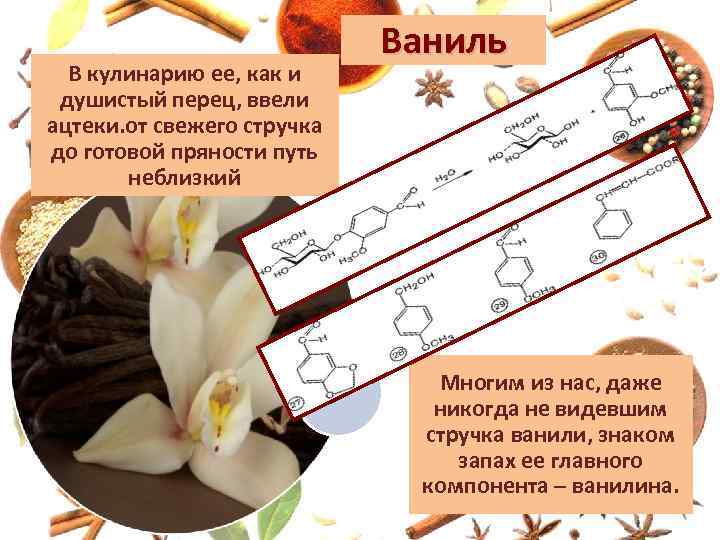 В кулинарию ее, как и душистый перец, ввели ацтеки. от свежего стручка до готовой