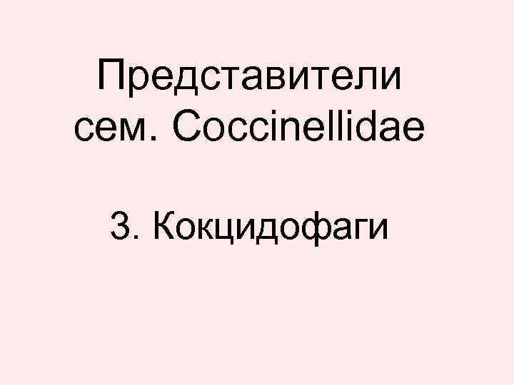 Представители сем. Coccinellidae 3. Кокцидофаги 