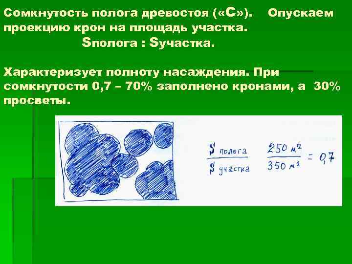 Абсолютная полнота это. Сомкнутость полога древостоя. Сомкнутость древостоя как определить. Сомкнутость полога крон. Полнота сомкнутость крон.