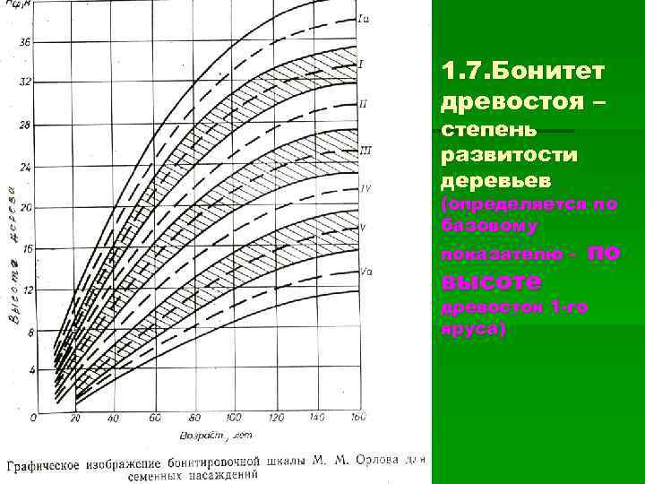 Приложение бонитет. Таблица бонитетов насаждений.