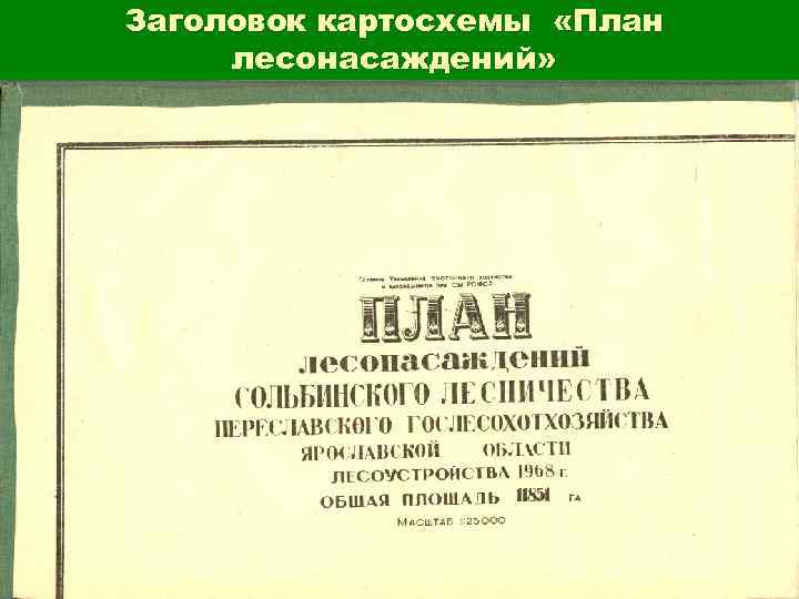 Заголовок картосхемы «План лесонасаждений» 
