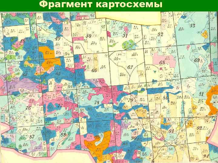 Фрагмент картосхемы 