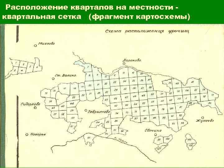 Карта с квартальной сеткой