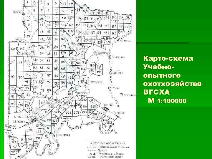 Карто-схема Учебноопытного охотхозяйства ВГСХА М 1: 100000 