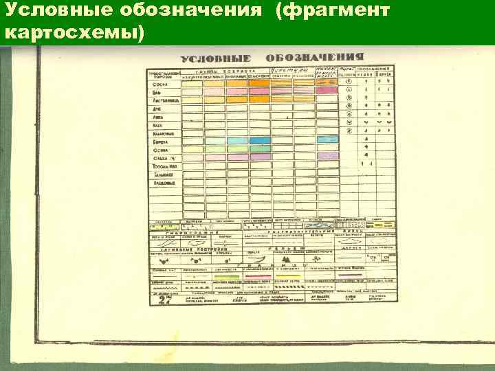 Условные обозначения (фрагмент картосхемы) 