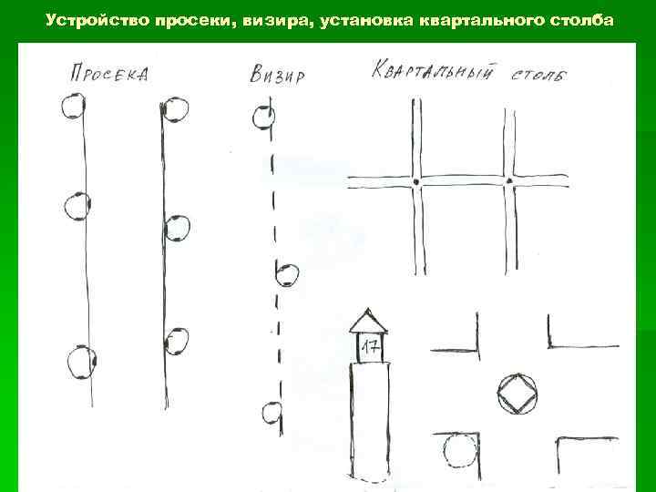Устройство просеки, визира, установка квартального столба 