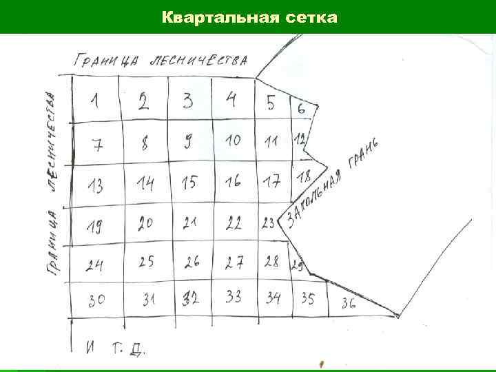 Карта с квартальной сеткой