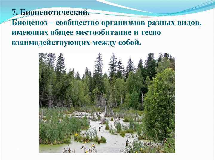 7. Биоценотический. Биоценоз – сообщество организмов разных видов, имеющих общее местообитание и тесно взаимодействующих
