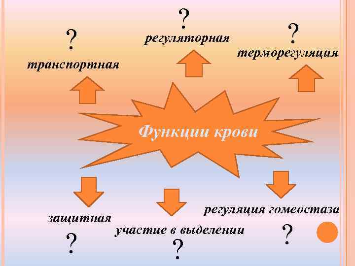 ? ? регуляторная транспортная ? терморегуляция Функции крови регуляция гомеостаза защитная участие в выделении