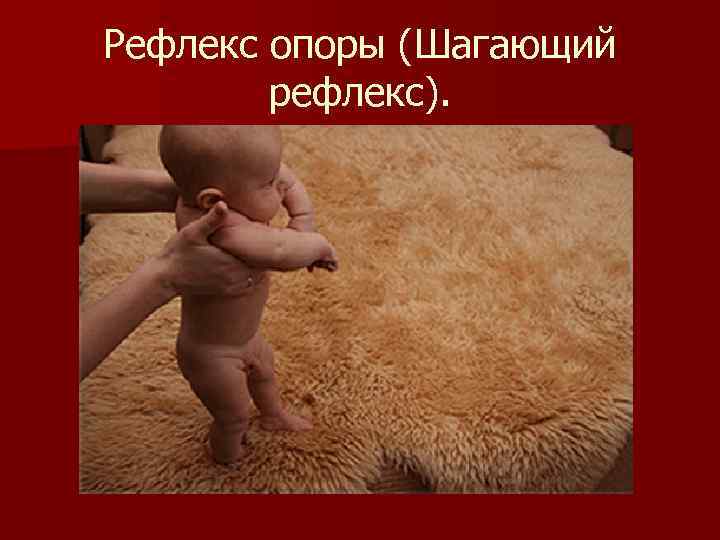 Рефлекс опоры (Шагающий рефлекс). 
