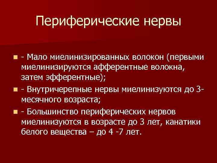 Периферические нервы Мало миелинизированных волокон (первыми миелинизируются афферентные волокна, затем эфферентные); n Внутричерепные нервы