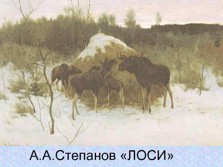 А. А. Степанов «ЛОСИ» 