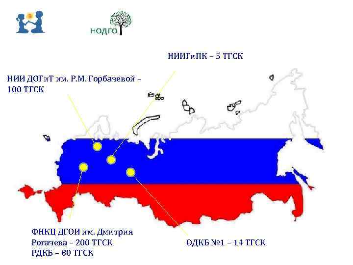 НИИГи. ПК – 5 ТГСК НИИ ДОГи. Т им. Р. М. Горбачевой – 100