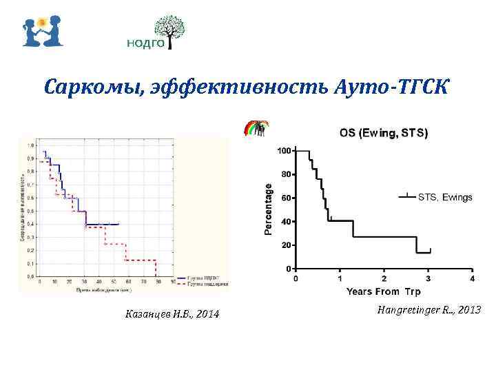 Саркомы, эффективность Ауто-ТГСК Казанцев И. В. , 2014 Hangretinger R. . , 2013 