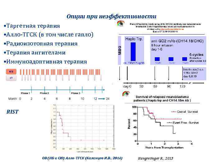 Опции при неэффективности • Таргетная терапия • Алло‐ТГСК (в том числе гапло) • Радиоизотопная