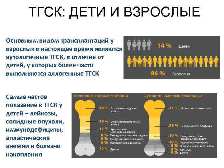 ТГСК: ДЕТИ И ВЗРОСЛЫЕ Основным видом трансплантаций у взрослых в настоящее время являются аутологичные