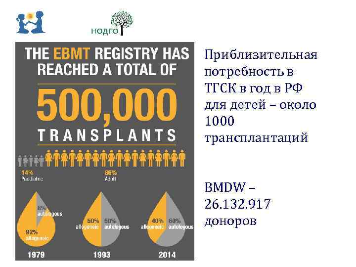Приблизительная потребность в ТГСК в год в РФ для детей – около 1000 трансплантаций