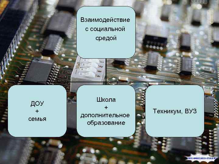 Взаимодействие с социальной средой ДОУ + семья Школа + дополнительное образование Техникум, ВУЗ 