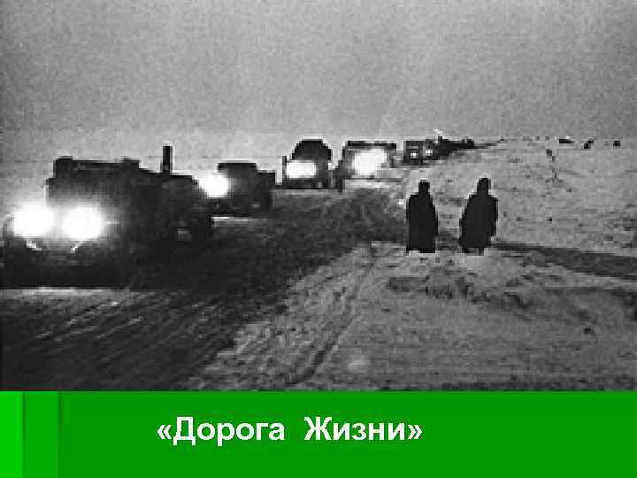  «Дорога Жизни» 