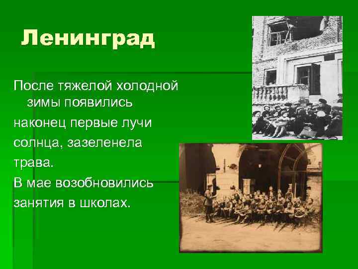 Ленинград После тяжелой холодной зимы появились наконец первые лучи солнца, зазеленела трава. В мае