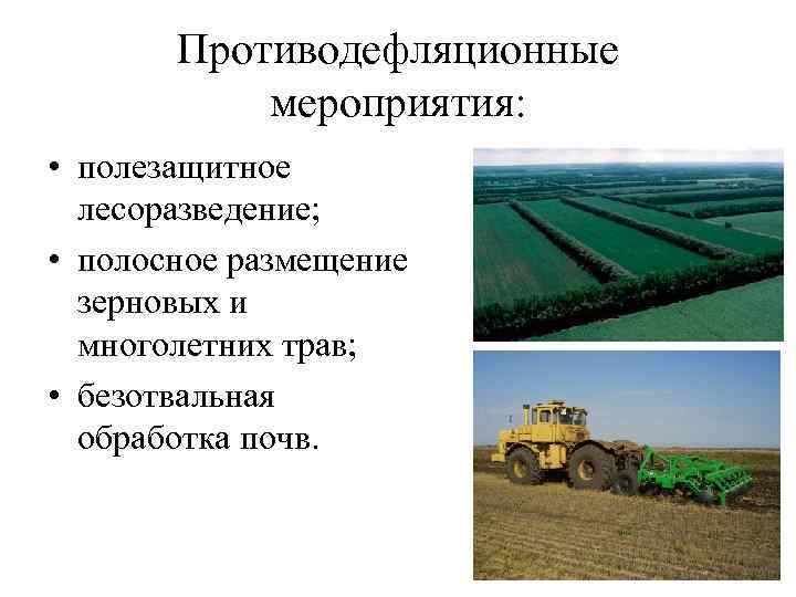 Противодефляционные мероприятия: • полезащитное лесоразведение; • полосное размещение зерновых и многолетних трав; • безотвальная