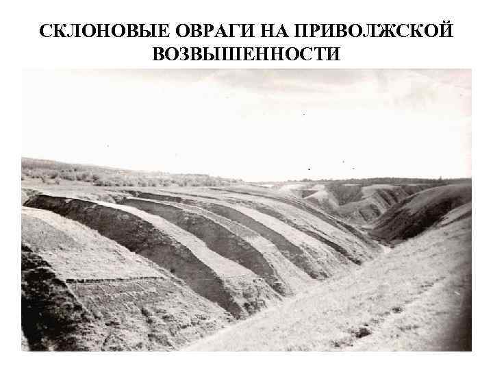 СКЛОНОВЫЕ ОВРАГИ НА ПРИВОЛЖСКОЙ ВОЗВЫШЕННОСТИ 