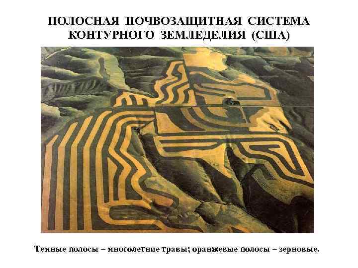 ПОЛОСНАЯ ПОЧВОЗАЩИТНАЯ СИСТЕМА КОНТУРНОГО ЗЕМЛЕДЕЛИЯ (США) Темные полосы – многолетние травы; оранжевые полосы –