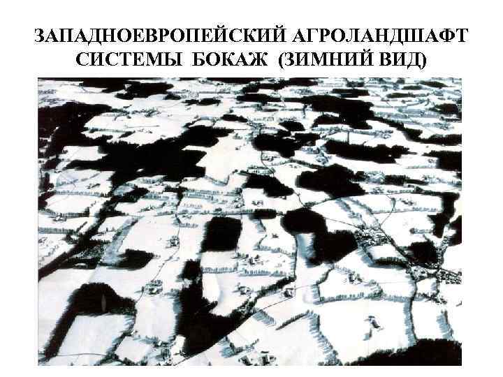 ЗАПАДНОЕВРОПЕЙСКИЙ АГРОЛАНДШАФТ СИСТЕМЫ БОКАЖ (ЗИМНИЙ ВИД) 