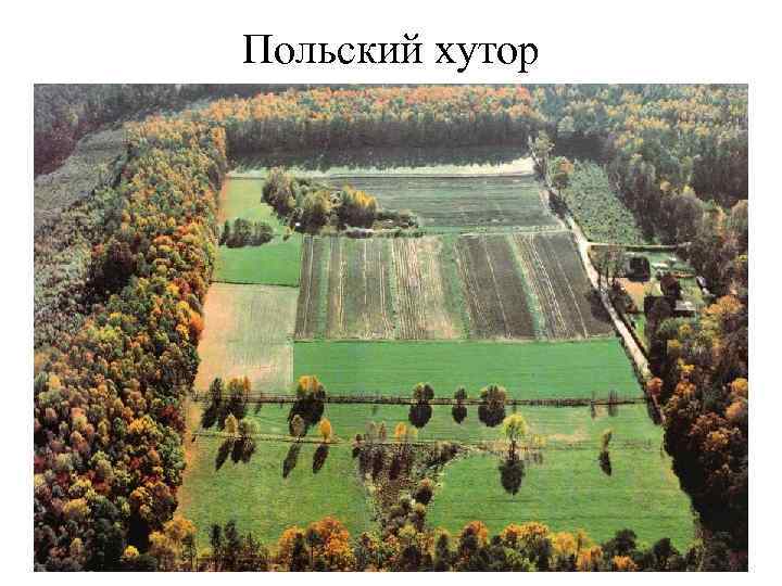 Польский хутор 