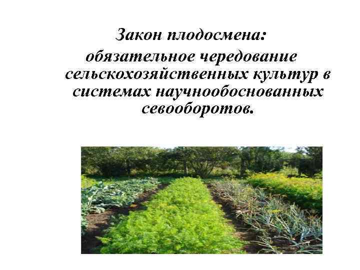 Закон плодосмена: обязательное чередование сельскохозяйственных культур в системах научнообоснованных севооборотов. 