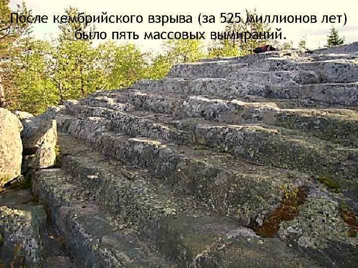 После кембрийского взрыва (за 525 миллионов лет) было пять массовых вымираний. 